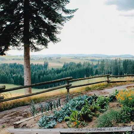 Winklergut Farm Austria Nh Iglbach