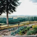 Winklergut Farm Austria Nh Iglbach