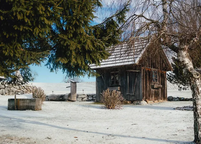 וילה Winklergut Farm Austria Nh Iglbach