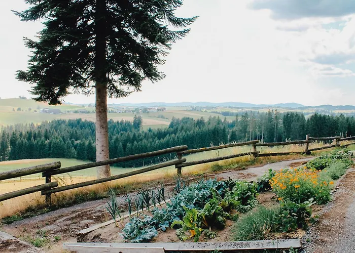 Winklergut Farm Austria Nh Iglbach